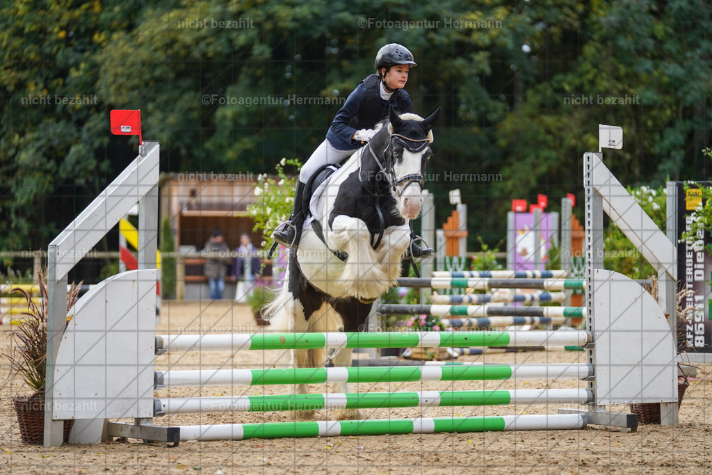 20221009-FAH08381 | Diessen am Ammersee, 2022, Dressur- und Springturnier, Reitsportbilder, Turnierfotografen Bayern, Pferdefotografen, Fotoagentur Herrmann, Turnierbilder