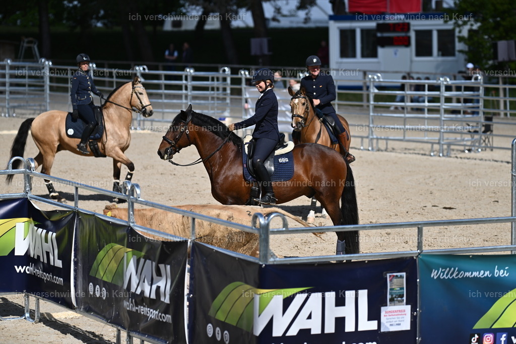 PI26_COW_Sara Landvogt226_7195.JPG | working equitationturnier fotograf videograf stoibphotography marixx film working equitation deutschland reitsport turnierfotografie eventfotografie equestrian events