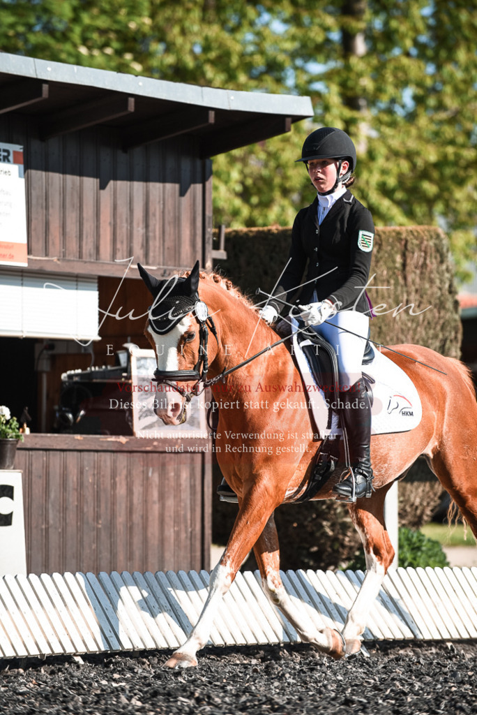 DSC_8263 | Pferde- und Turnierfotografie in Westsachsen. Pferdeportraits, Auftragszeichnungen und intuitive Kunst.