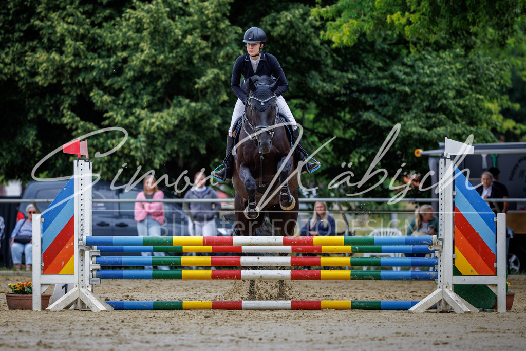 20260705-_3LI3771 | Tierfotografie Pferde, Hunde, Katzen, Haustiere.
Turnierfotografie Reitturniere, Reiten, Springreiten, Dressur in Hanau, dem Main-Kinzig-Kreis und dem Rhein-Main- Gebiet um Frankfurt