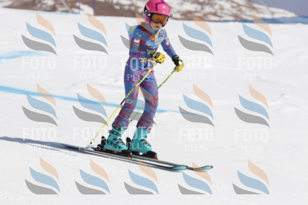 _U3G9928 | holidayphoto