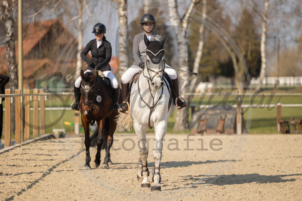 994A9711 | sabrinanicolaifotografie - Realisiert mit Pictrs.com