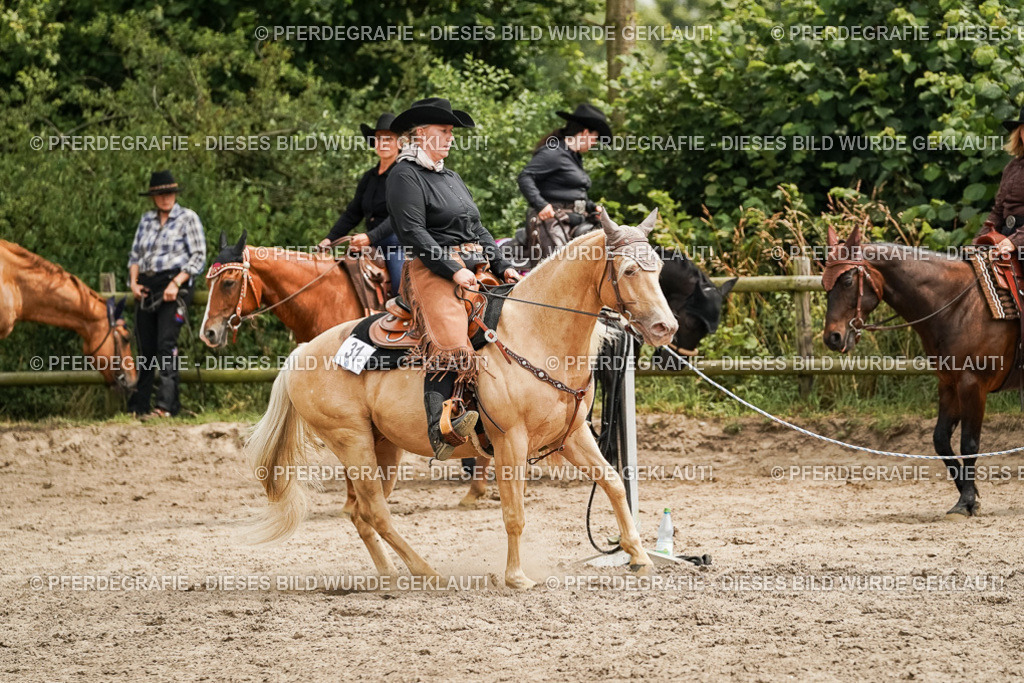 DSC00532 | Pferdegrafie