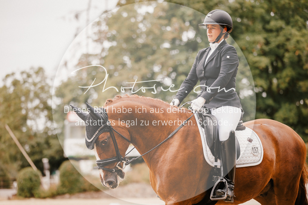 3I6A5911 | Stimmungsvolle Portraits und Reitsportfotografie im Ruhrgebiet und im Münsterland.

Pferdefotografie, Hundefotografie, Tierfotografie, Reportagen, Portraits von Tier und Mensch, Turnierfotografie in Bochum, Recklinghausen, Marl, Haltern am See, Dülmen.. - Realisiert mit Pictrs.com