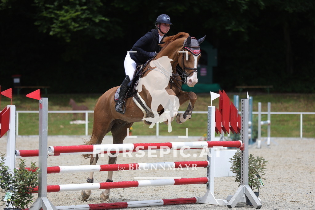 0P6A3644 | Willkommen bei Brunnmayr - Design & Fotografie – Ihrem Spezialisten für Reitturniere und Pferdeveranstaltungen in Oberösterreich, Salzburg und Bayern! Seit über 17 Jahren sind wir leidenschaftlich dabei.
