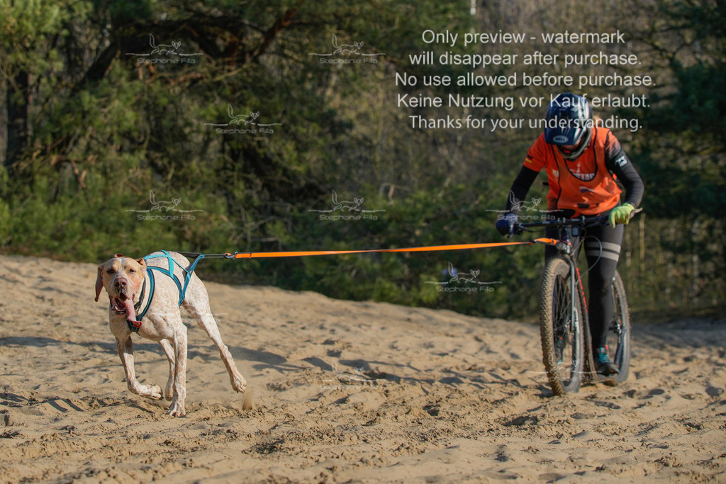 So_Scooter-235 | stephaniefillaphotographie - Realisiert mit Pictrs.com