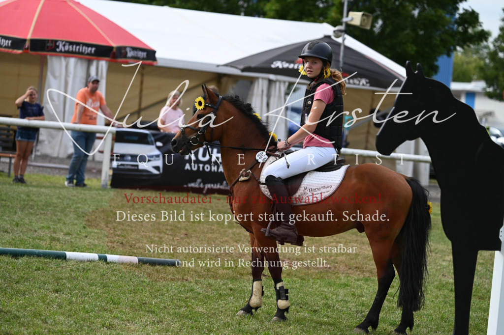 DSC_9236 | Pferde- und Turnierfotografie in Westsachsen. Pferdeportraits, Auftragszeichnungen und intuitive Kunst.