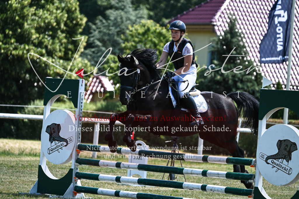DSC_0411 | Pferde- und Turnierfotografie in Westsachsen. Pferdeportraits, Auftragszeichnungen und intuitive Kunst.