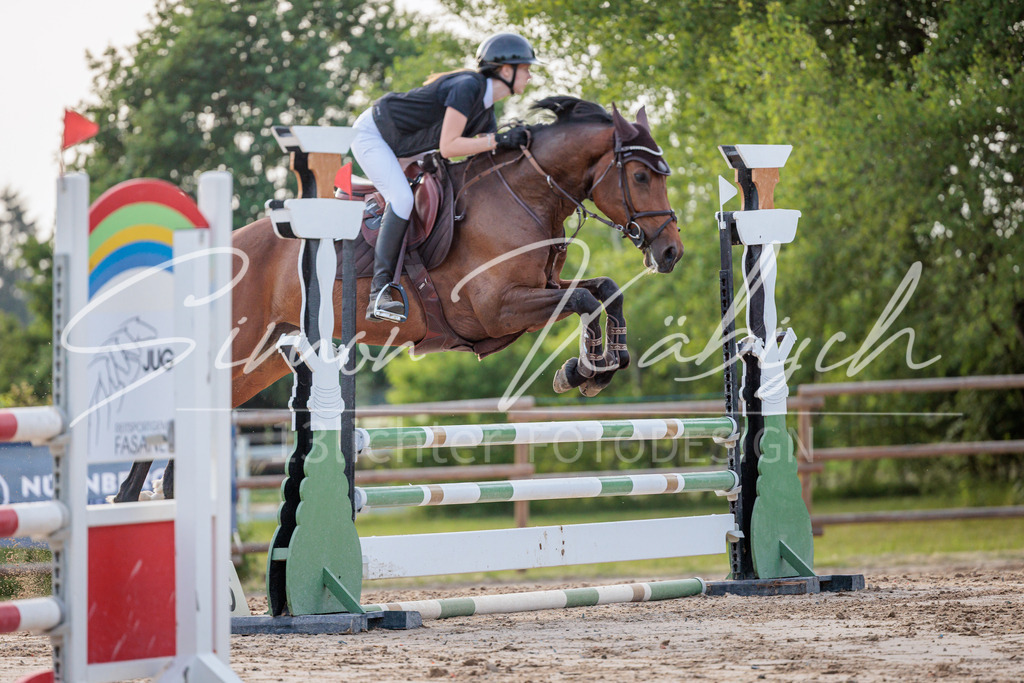 20260529-_3LI1499 | Tierfotografie Pferde, Hunde, Katzen, Haustiere.
Turnierfotografie Reitturniere, Reiten, Springreiten, Dressur in Hanau, dem Main-Kinzig-Kreis und dem Rhein-Main- Gebiet um Frankfurt