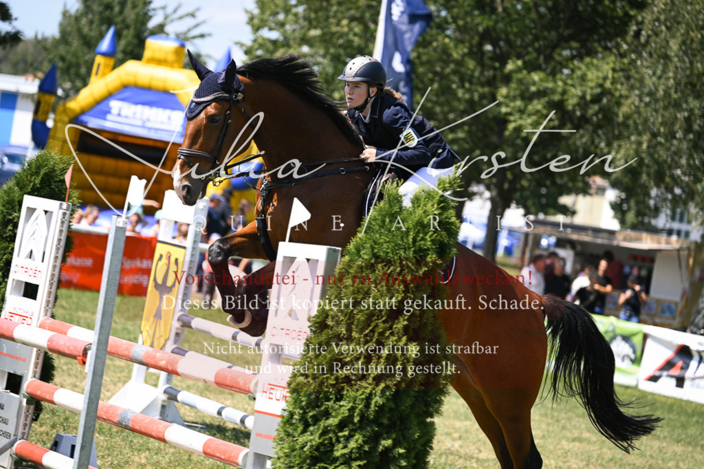 DSC_0138 | Pferde- und Turnierfotografie in Westsachsen. Pferdeportraits, Auftragszeichnungen und intuitive Kunst.