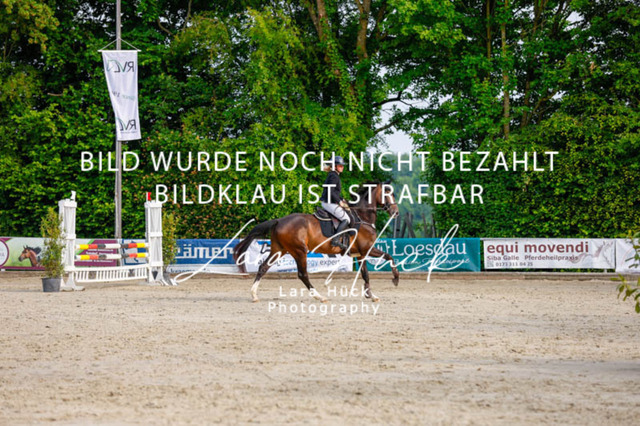_62_3413 | larahueckfotografie