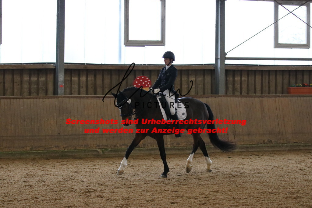 IMG_8798 | lmwpictures - Realisiert mit Pictrs.com