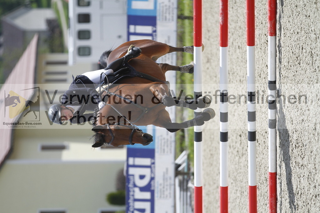 _MG_1950 | equestrian-live-com