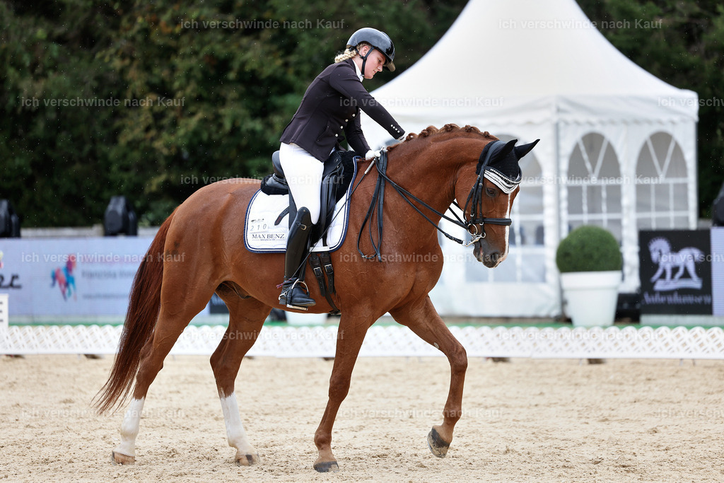 3-210-Dressur M_-StoibPH-2480 | working equitationturnier fotograf videograf stoibphotography marixx film working equitation deutschland reitsport turnierfotografie eventfotografie equestrian events