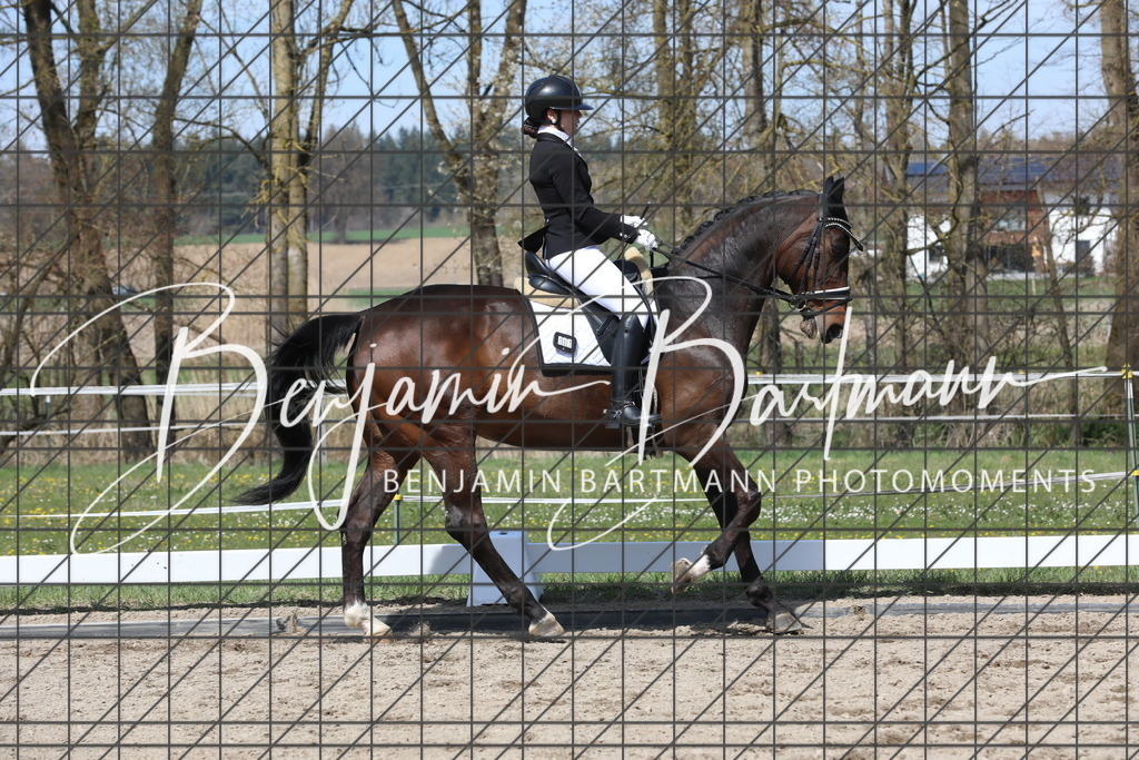 AZ2A5409 | Benjamin Bartmann Photomoments