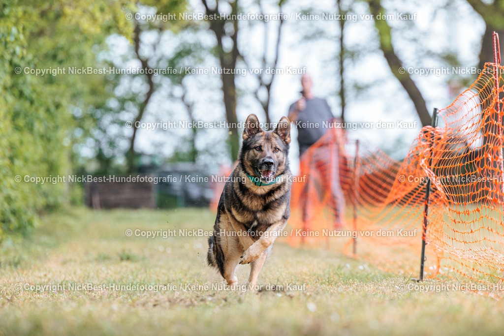 Sage Hunderennen Frühlingsfest-2026-Nickbest-Hundefotografie-0193 | Dein Hund! Dein Moment! Deine Erinnerungen! Hundefotografie in Bremen Blumenthal. Ich fange die besonderen Momente deines Vierbeiners ein – ob Indoor mit Blitzanlage oder in der freien Natur. Sicher dir dein Moment und dein Termin für eure Erinnerungen.