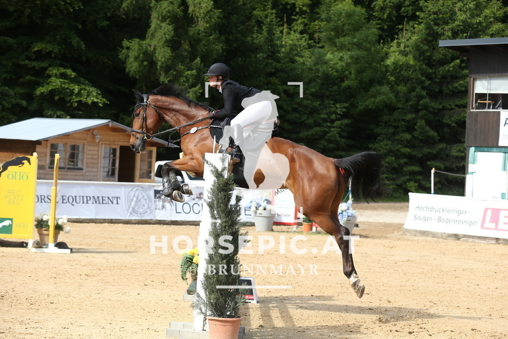 DL2Q0944 | Willkommen bei Brunnmayr - Design & Fotografie – Ihrem Spezialisten für Reitturniere und Pferdeveranstaltungen in Oberösterreich, Salzburg und Bayern! Seit über 17 Jahren sind wir leidenschaftlich dabei.