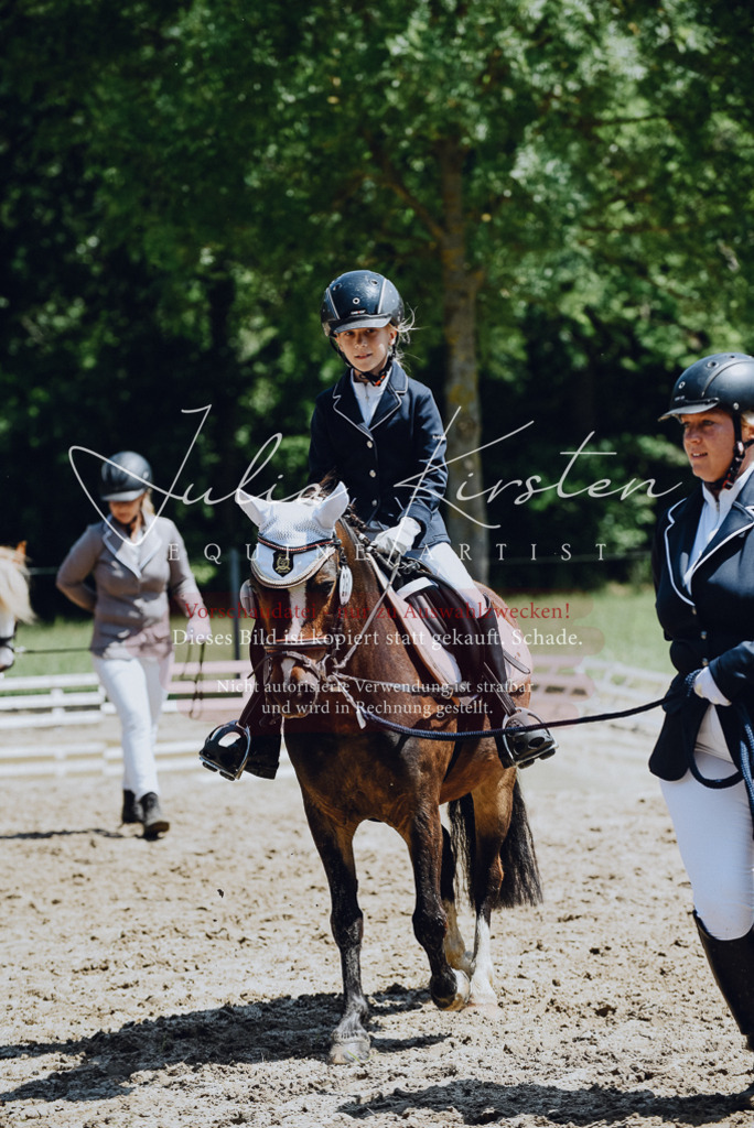 DSC_2121 | Pferde- und Turnierfotografie in Westsachsen. Pferdeportraits, Auftragszeichnungen und intuitive Kunst.