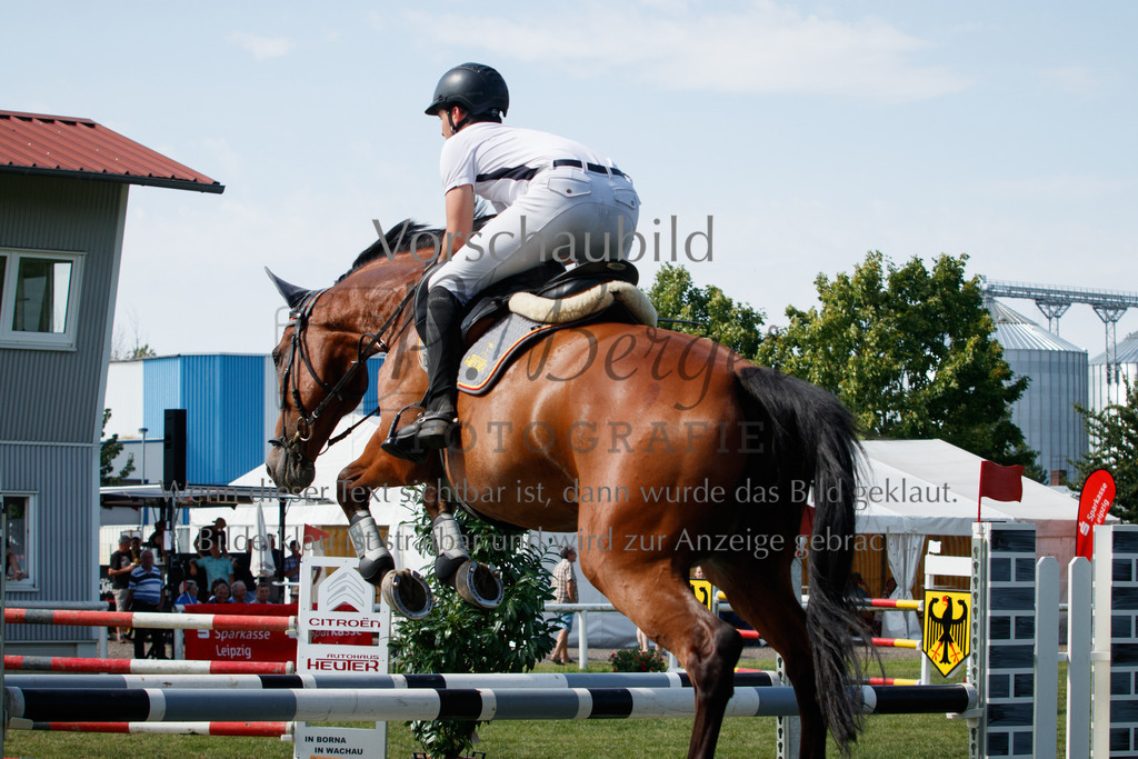 IMG_3679 | P. Berger Fotografie - Realisiert mit Pictrs.com