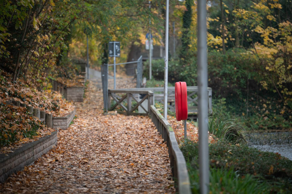 Gronau, Deutschland | Die schönsten Bilder für Ihre Räume online bestellen! In unseren Bildergalerien findet Sie alles was es für Ihre Räume braucht. Lassen Sie sich überraschen ☺️ - Realisiert mit Pictrs.com