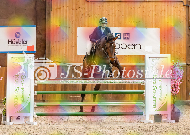 20260221_03_Springpferdeprfg KlL115-202 | JS-Photostyle - Sport-/Portrait- & Eventfotografie