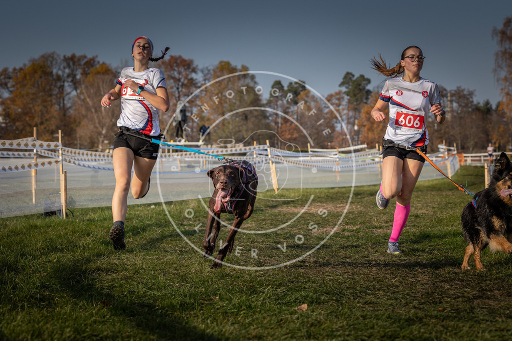 CaniXpix_0L8A0007 | Hundefotografie, Tierfotograf, Pfotenfotografie, Fotoshooting Hund, Hunde Portrait, Hundesport, Hundeportraits, Heideshooting, Hunde, Sportfotograf, Hundefotograf, Turnierhundsport, THS,  - Realisiert mit Pictrs.com
