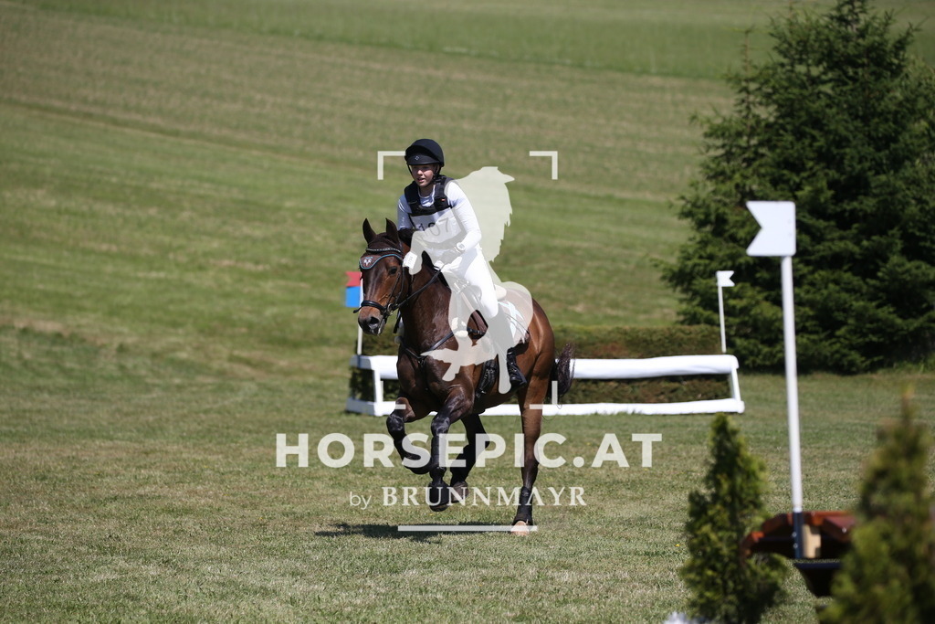 DL2Q1614 | Willkommen bei Brunnmayr - Design & Fotografie – Ihrem Spezialisten für Reitturniere und Pferdeveranstaltungen in Oberösterreich, Salzburg und Bayern! Seit über 17 Jahren sind wir leidenschaftlich dabei.