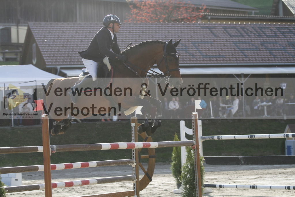 _MG_1597 | equestrian-live-com