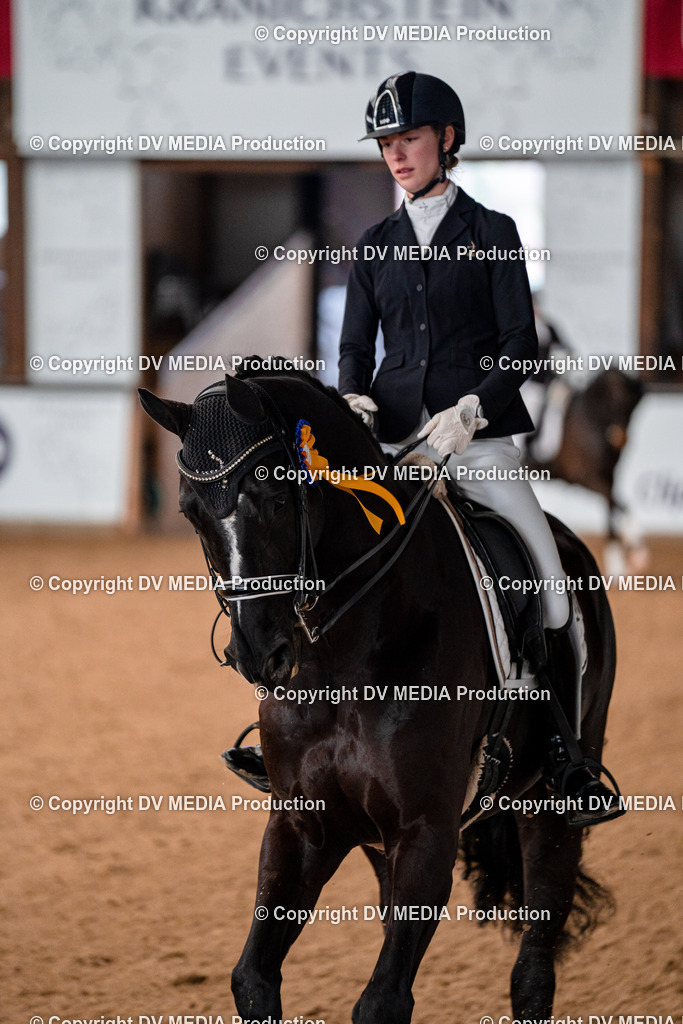 Kranichstein Tag 1-735 | dv-media-shop - Realisiert mit Pictrs.com