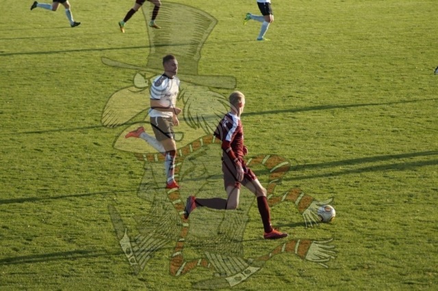 BFC Dynamo vs. FSV Budissa Bautzen 072 | mythos-online-redaktion