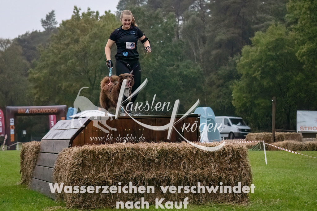 0806-_ZZ90184-Bearbeitet-Bearbeitet | kk-dogfotos