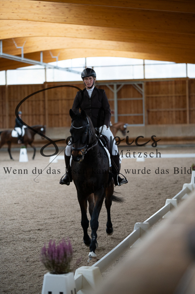 A7V02287 | Pferdefotograf