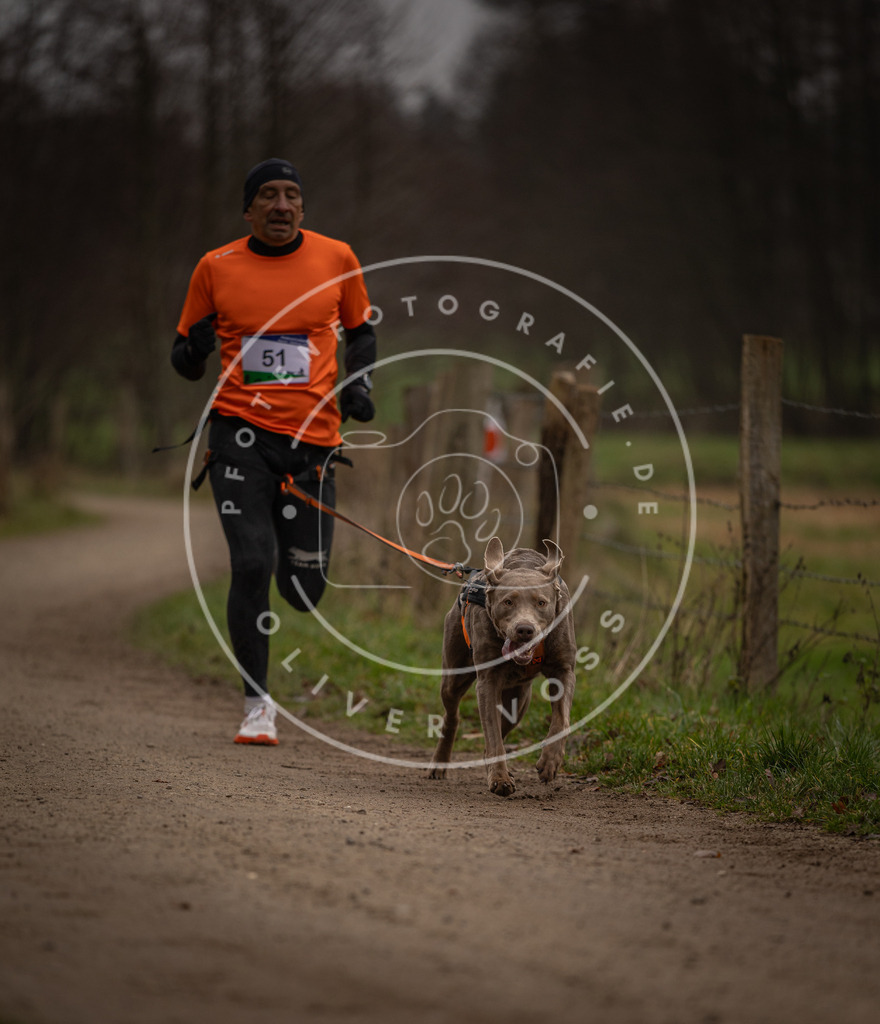 Pfotenfotografie_DV3A2863 | Hundefotografie, Tierfotograf, Pfotenfotografie, Fotoshooting Hund, Hunde Portrait, Hundesport, Hundeportraits, Heideshooting, Hunde, Sportfotograf, Hundefotograf, Turnierhundsport, THS,  - Realisiert mit Pictrs.com
