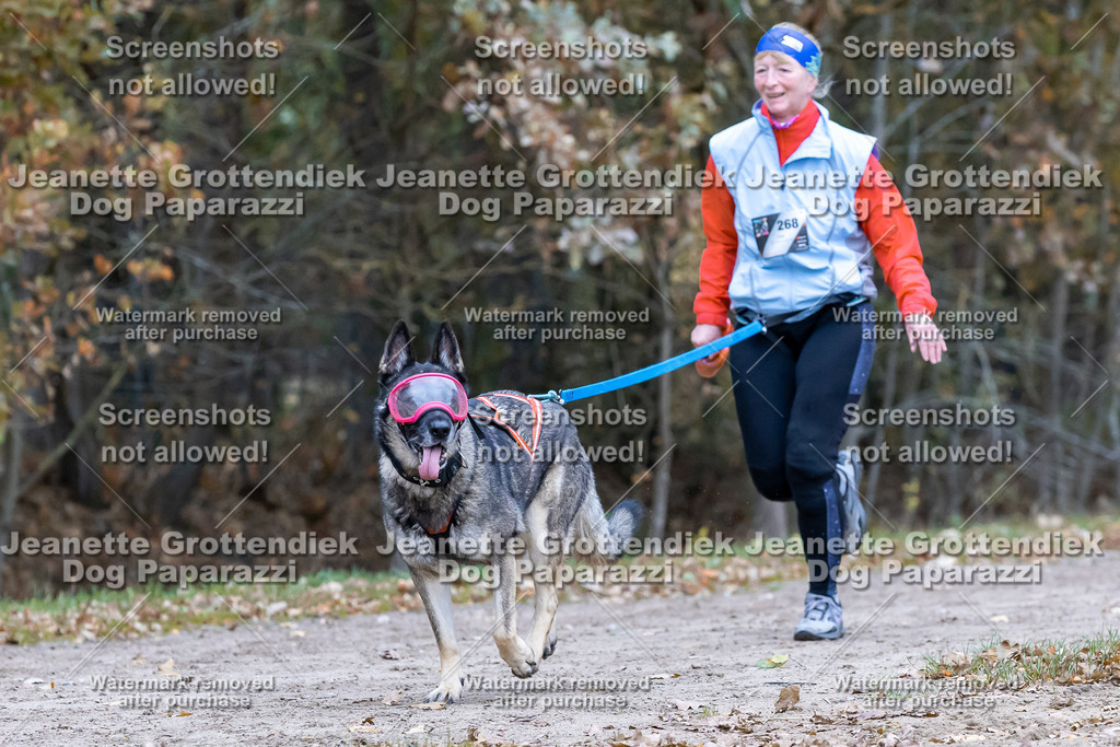 Dog Paparazzi - SD CaniX Championship 2025-661 | Dog Paparazzi Jeanette Grottendiek Fotografie & Videografie - Realisiert mit Pictrs.com