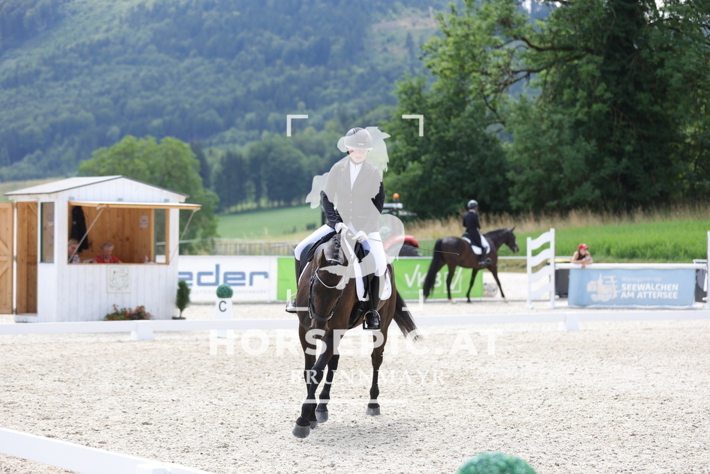 0P6A2301 | Willkommen bei Brunnmayr - Design & Fotografie – Ihrem Spezialisten für Reitturniere und Pferdeveranstaltungen in Oberösterreich, Salzburg und Bayern! Seit über 17 Jahren sind wir leidenschaftlich dabei.