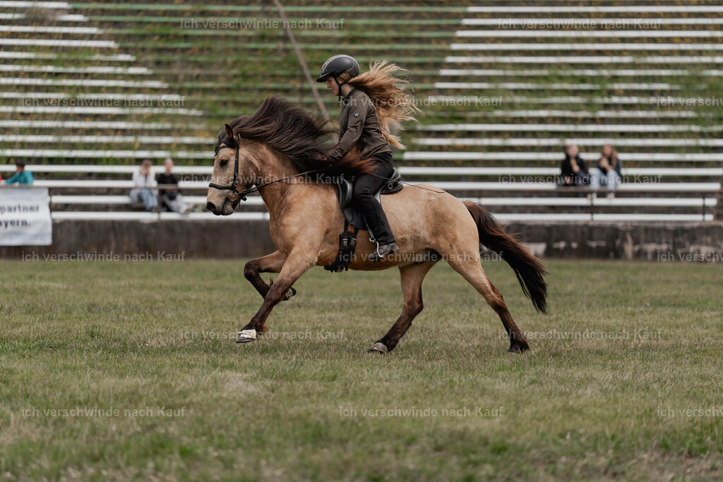 Showprogramm-204 | working equitationturnier fotograf videograf stoibphotography marixx film working equitation deutschland reitsport turnierfotografie eventfotografie equestrian events