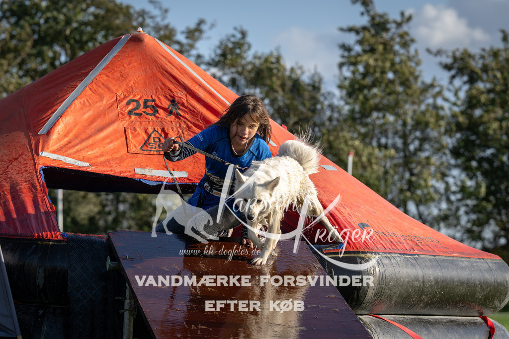 1449-90050 | kk-dogfotos