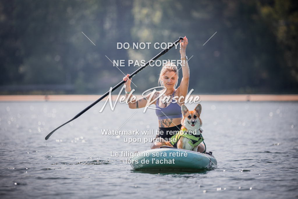 BUHU_SUP_468 | nelerasche