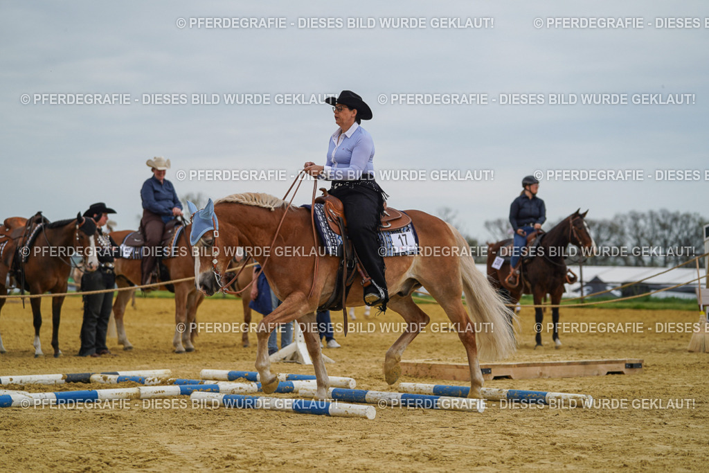 DSC02514 | Pferdegrafie