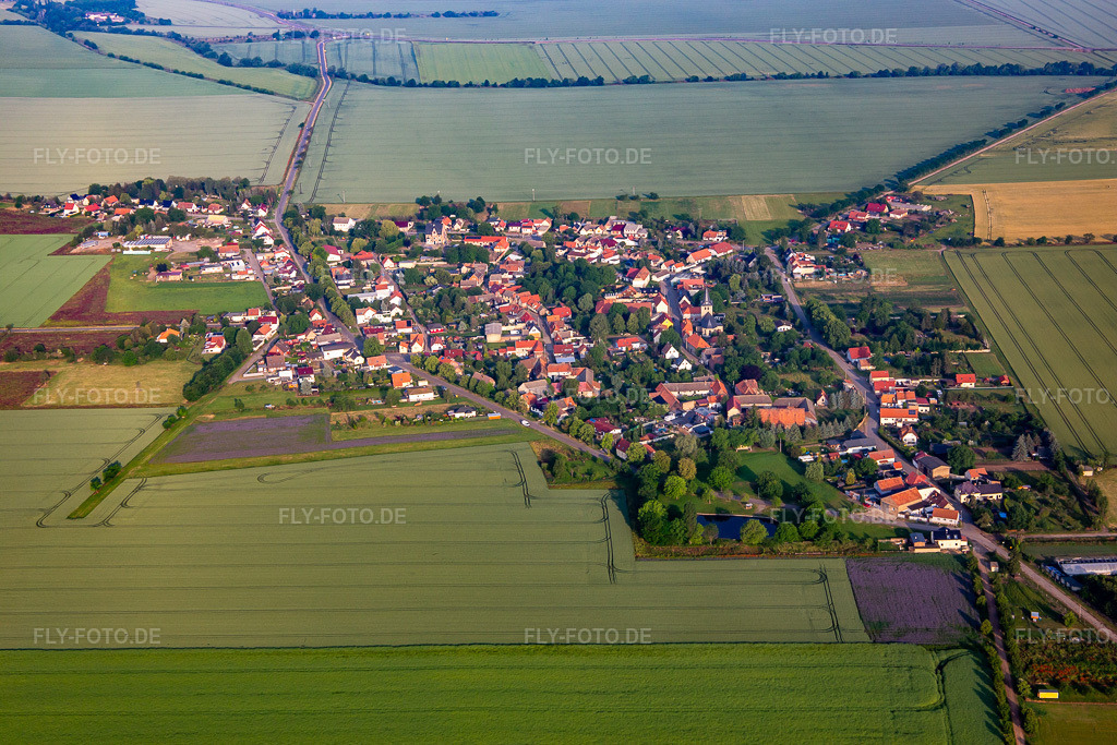 Luftbild: Ortsansicht von Osten im Ortsteil Radisleben in Ballenstedt im Bundesland Sachsen-Anhalt in Deutschland. Foto: IMG_136502.jpg vom 17.06.2023 durch Werner Riehm/FLY-FOTO.de