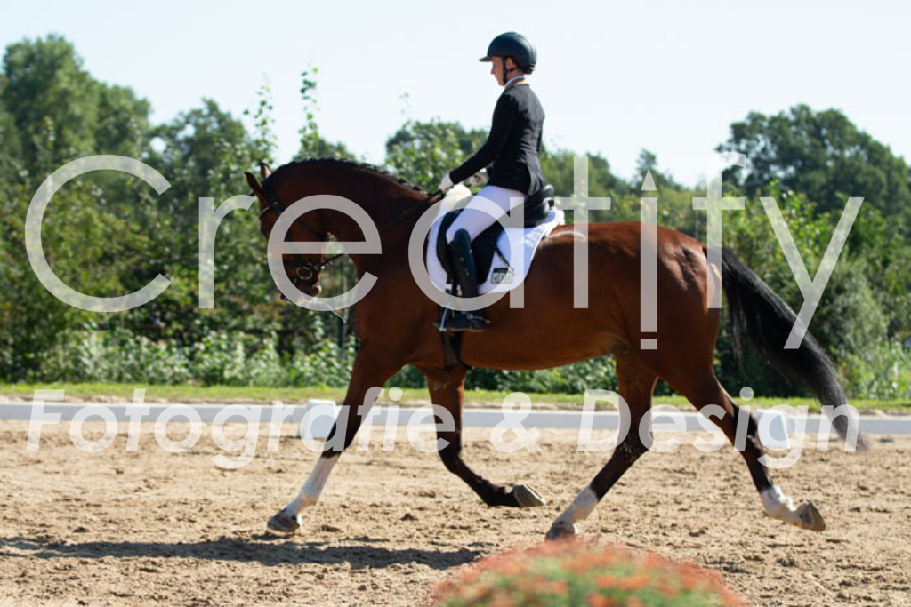 IMG_3601 | Creatify Fotografie