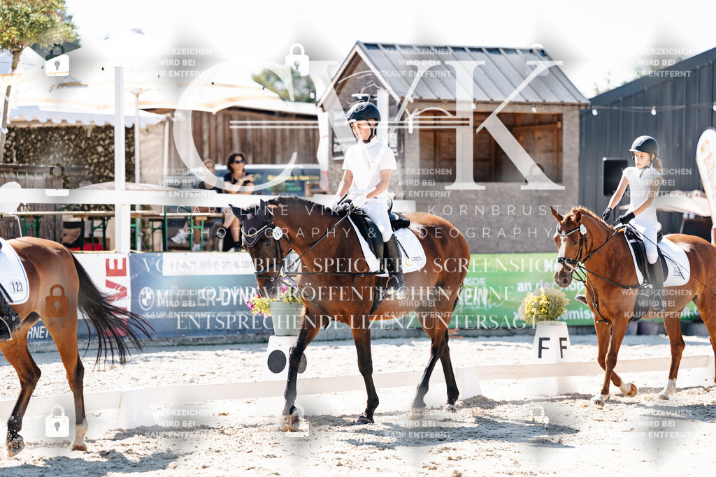 CK902498 | Turnierfotografie Pferdefotografie Trier Rheinland-Pfalz Pferdesport Reitsport Tierfotografie Sportfotografie Pferdevideo Pferdevideografie Equestrianvideography equestrianphotography  - Realisiert mit Pictrs.com