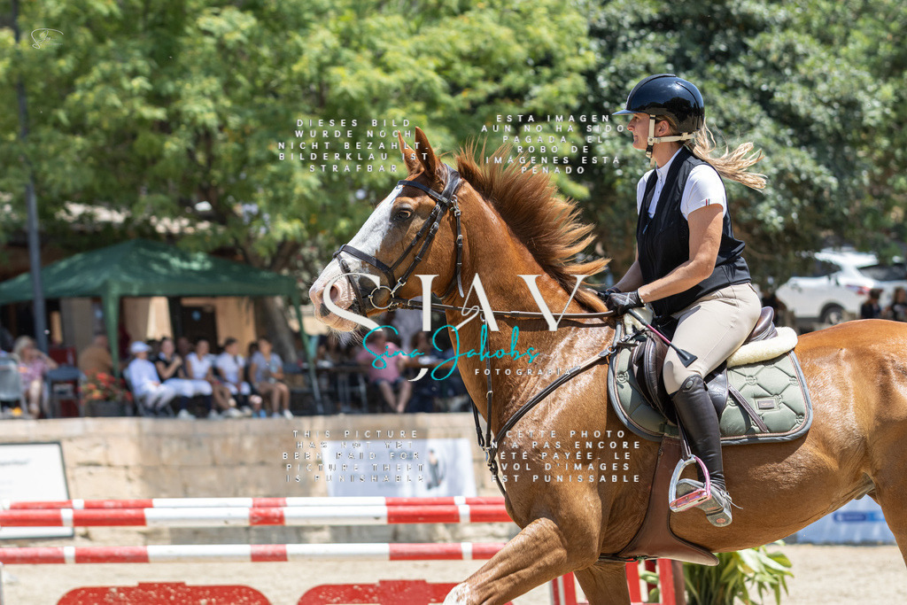 IMG_6581 | s-jay-photography - Realisiert mit Pictrs.com