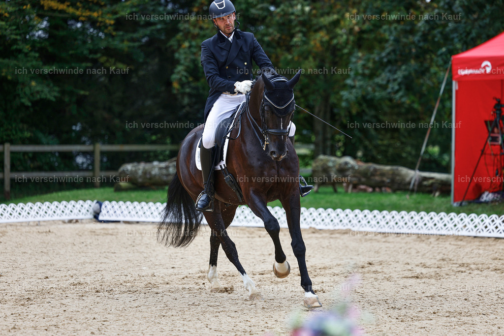 8_1-045-Klasse S_  -StoibPH-3807 | working equitationturnier fotograf videograf stoibphotography marixx film working equitation deutschland reitsport turnierfotografie eventfotografie equestrian events