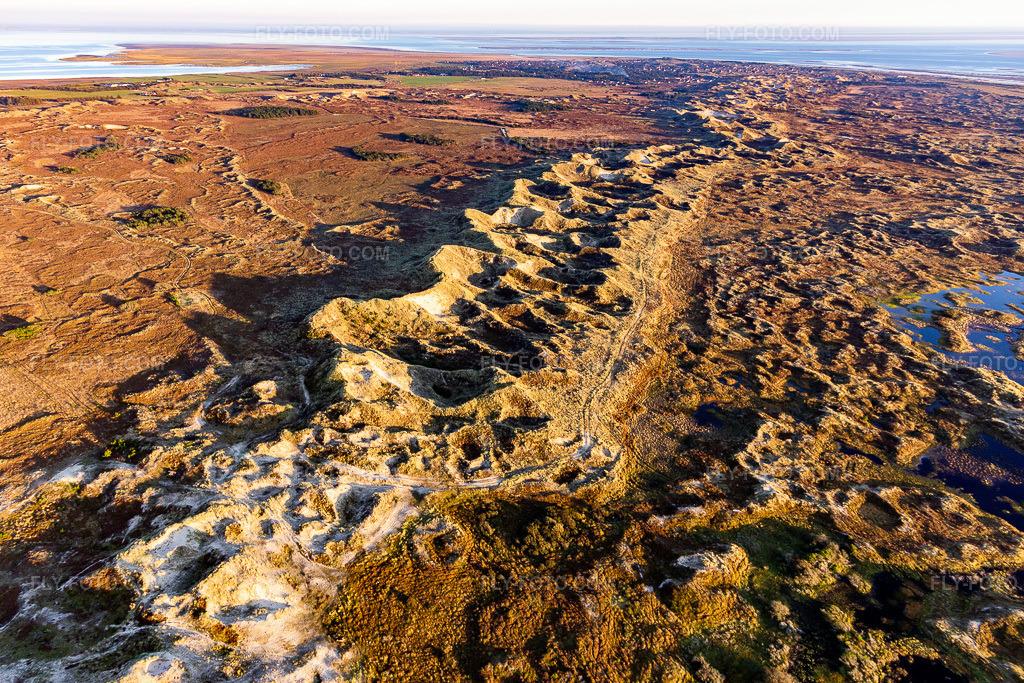 Aerial view: Sand, dune and coastal landscape in the Wadden Sea National Park on Fanø in Fanø in the state South Denmark, Denmark.Photo: IMG_118965.jpg taken on 09/21/2019 by Werner Riehm/FLY-FOTO.comResolution of the original: 5158 x 3439 px