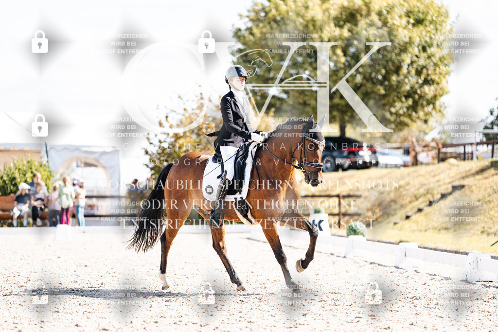 CK902726 | Turnierfotografie Pferdefotografie Trier Rheinland-Pfalz Pferdesport Reitsport Tierfotografie Sportfotografie Pferdevideo Pferdevideografie Equestrianvideography equestrianphotography  - Realisiert mit Pictrs.com