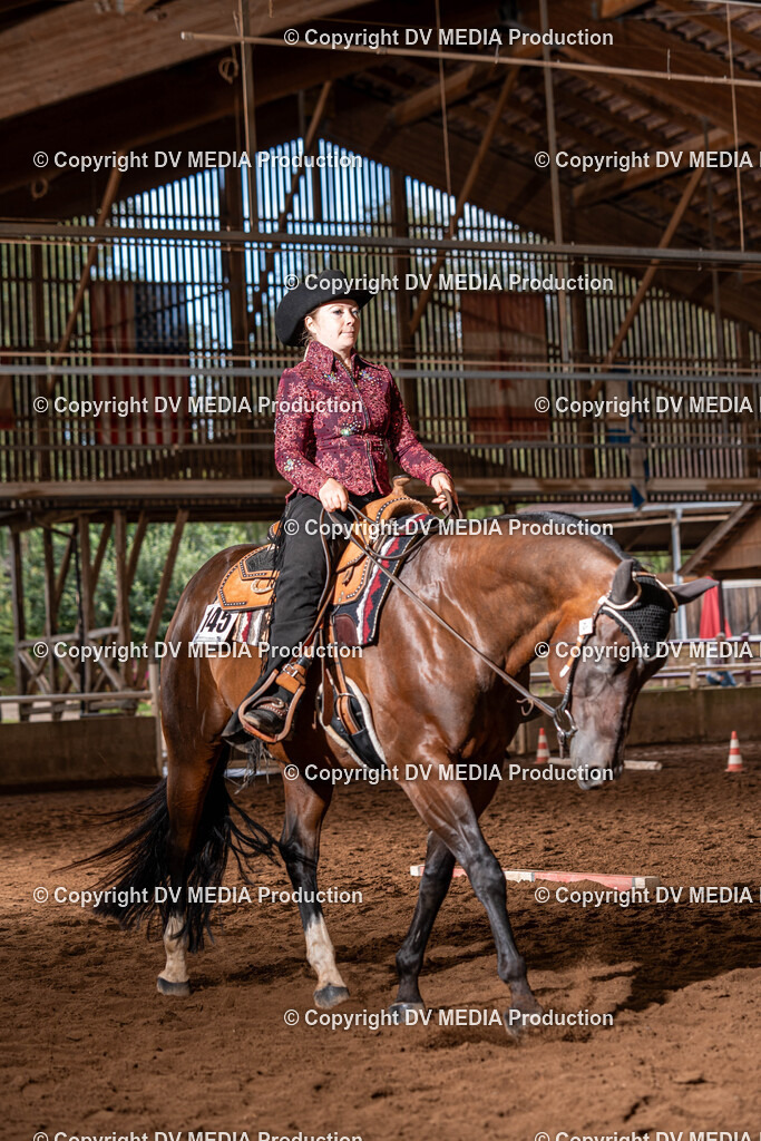 Erbach Tag 2-307 | dv-media-shop - Realisiert mit Pictrs.com