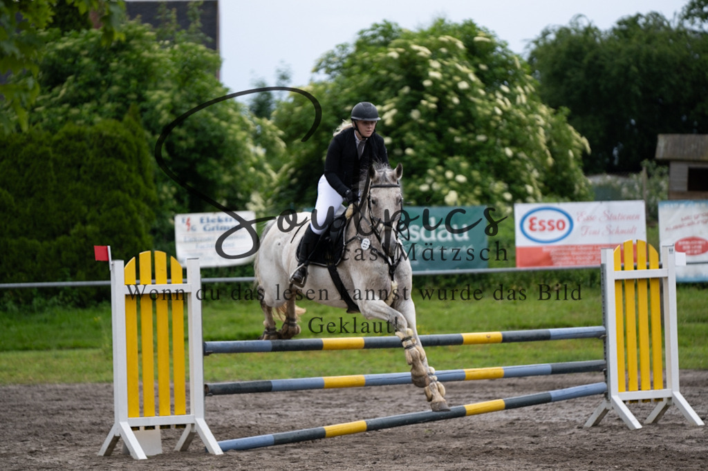 A7V04082 | Pferdefotograf