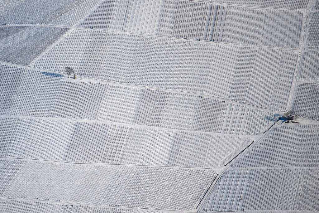 4043269 | winterliche Weinbergstrukturen auf der Weininsel zw. Schwarzach und Nordheim, Weinlage Vögelein