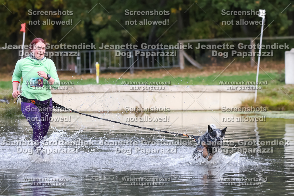 Dog Paparazzi - Strongdog 10-25-6379 | Dog Paparazzi Jeanette Grottendiek Fotografie & Videografie - Realisiert mit Pictrs.com